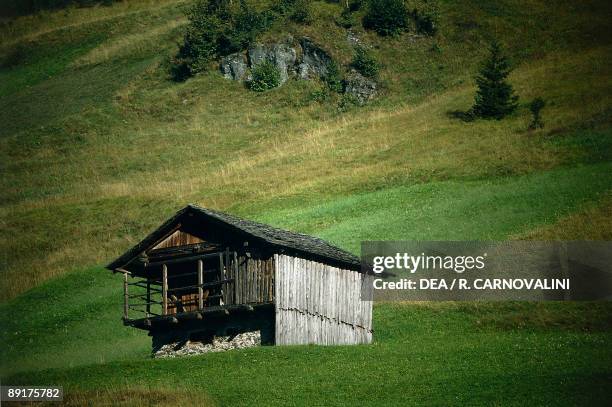 Hut in a field, Eastern Alps, Veneto, Italy