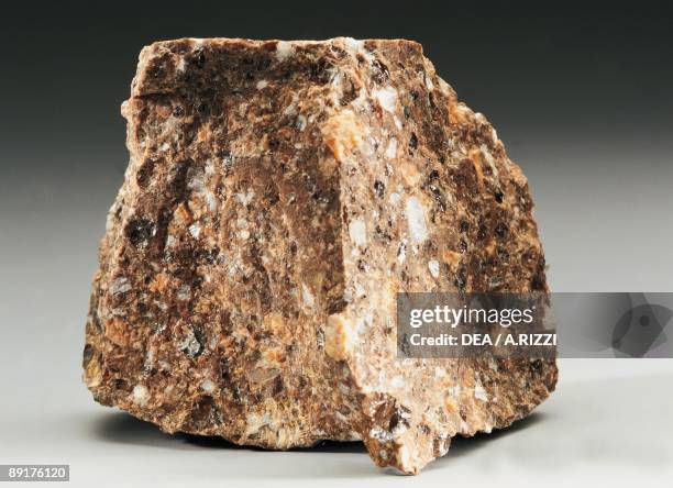 Porphyry Shells Porphyry (Geology) Photos and Premium High Res Pictures - Getty Images