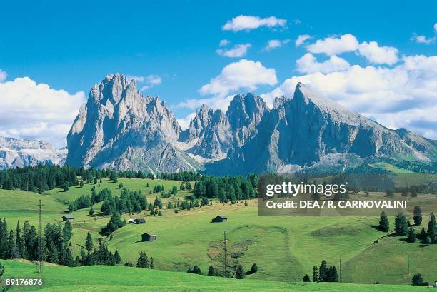 Trees on a rolling landscape in front of a mountain, Sasso Lungo And Sasso Piatto, Alp Di Siusi, Alto Adige, Italy