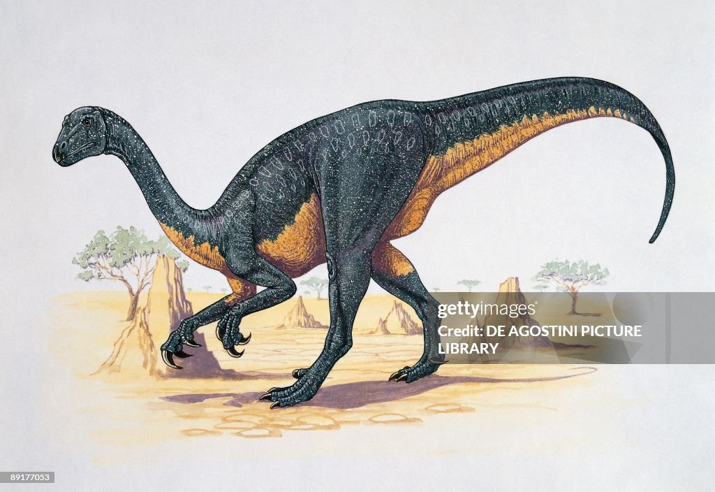 Side profile of a therizinosaurus dinosaur walking on a landscape (Therizinosaurus cheloniformis)