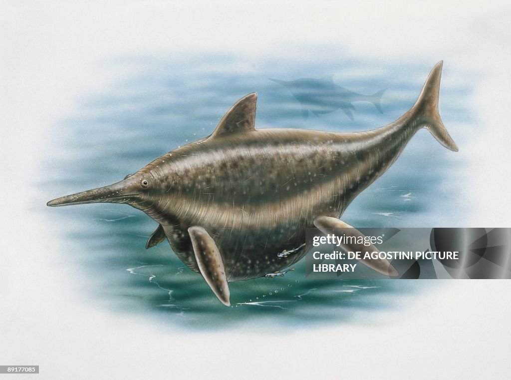 Shonisaurus in water