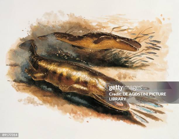 Two ichthyosteg hunting fish