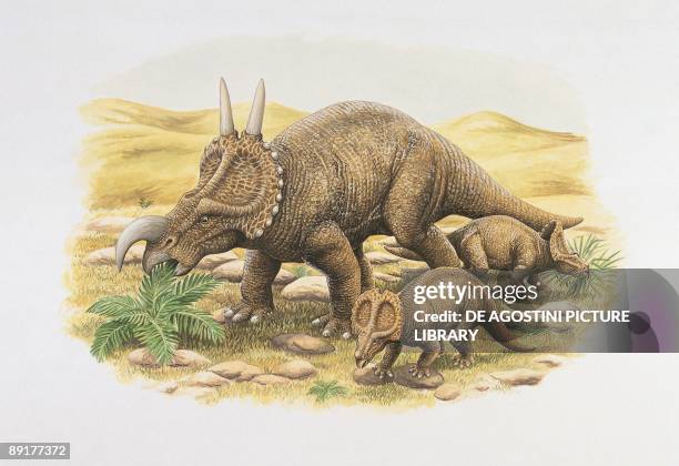 Three einiosaurus dinosaur eating plants