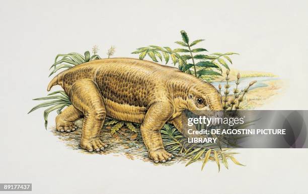 Lystrosaurus in a bush