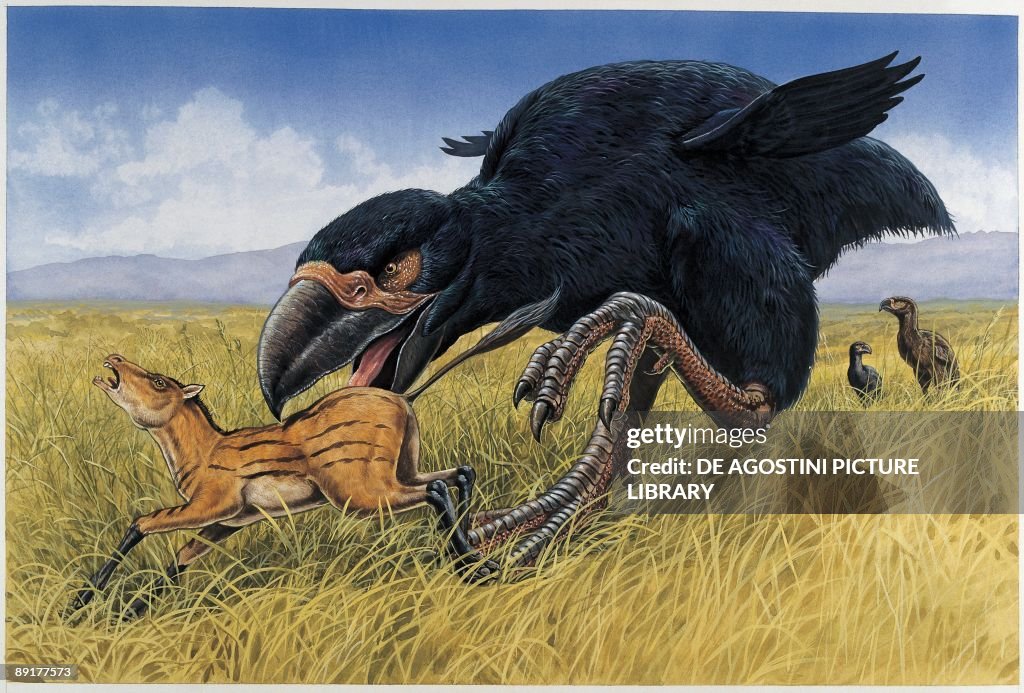 Diatryma hunting an animal