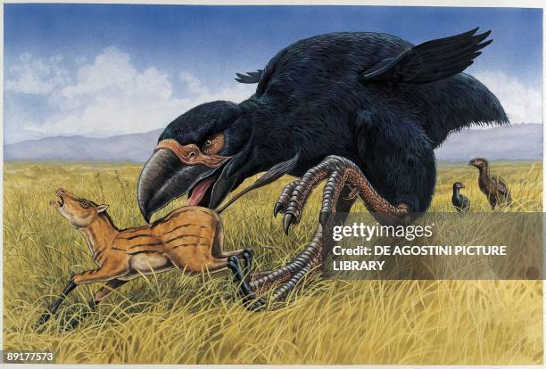 Diatryma hunting an animal