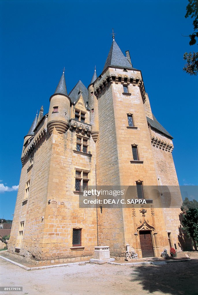 Low angle view of a castle, Chabans Castle, Saint Leon Sur Vezere, Aquitaine, France