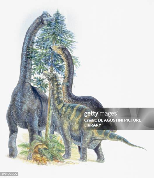 Three dinosaurs eating leaves of a tree