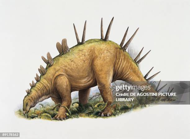 Side profile of a chialingosaurus grazing