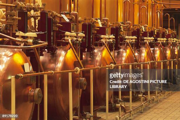 Distillery stills in a row in a factory, Cointreau Distillery, Angers, Pays-de-la-Loire, France