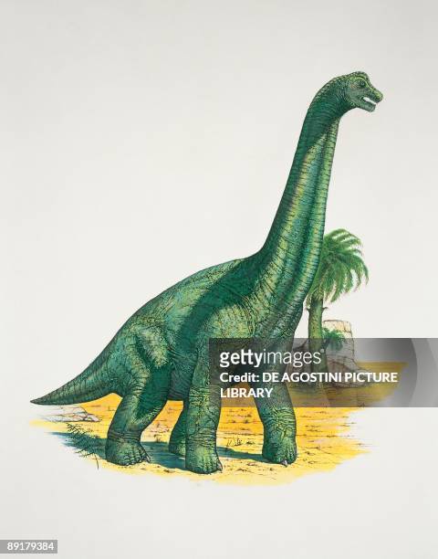 Brachiosaurus dinosaur in a forest