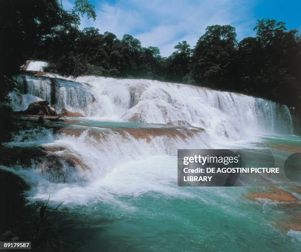 Panoramic view of a waterfall, Agua Azul Waterfall, Tulija River, Chiapas, Mexico