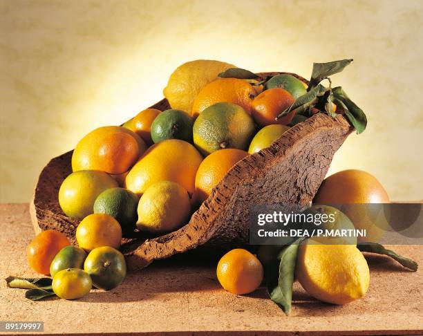 Close-up of various citrus fruits in a bowl