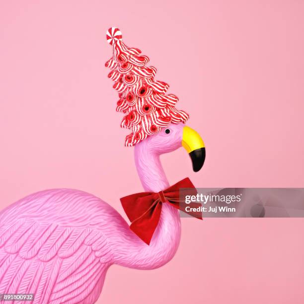 pink flamingo wearing candy cane hat - schmalz stock-fotos und bilder