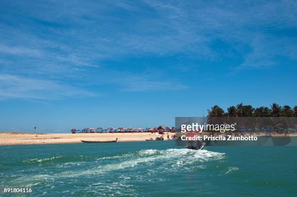 praia do gunga (gunga's beach), alagoas, brazil - maceió stock pictures, royalty-free photos & images