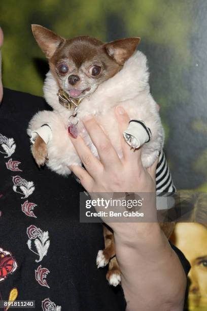 Celebrity dog Chloe Kardoggian attends a New York special screening of "Jumanji: Welcome to the Jungle" at Dave & Buster's Time Square on December...