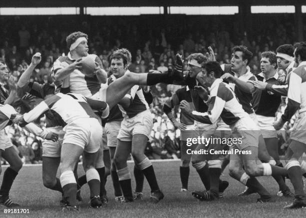 70s Rugby Player 455 Rugby 1970 Stock Photos, High-Res Pictures, and Images - Getty Images