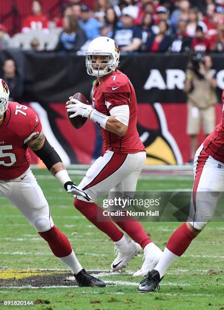 Blaine Gabbert of the Arizona Cardinals looks to throw the ball against the Tennessee Titans at University of Phoenix Stadium on December 10, 2017 in...