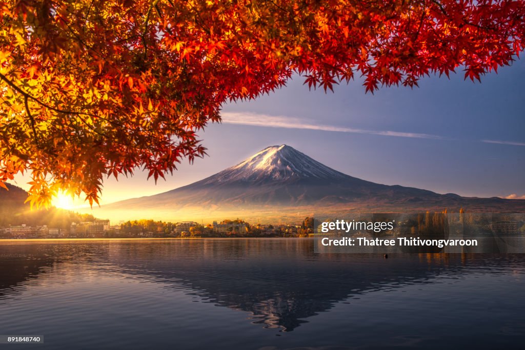 Colorful Autumn Season and Mountain Fuji with morning fog and red leaves at lake Kawaguchiko is one of the best places in Japan