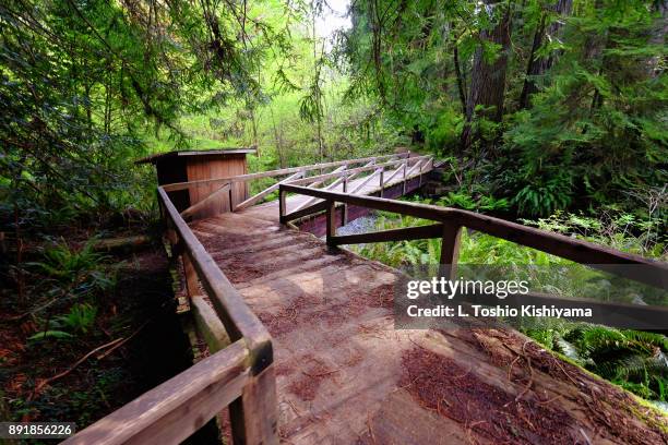 redwood state park in arcadia, california - arcadia california stock pictures, royalty-free photos & images
