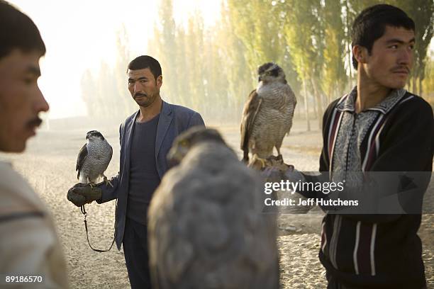 Uighur muslim falcon hunters hold their birds of prey in hand in the morning light on October 17, 2007 in the Chinese province of Xinjiang, China....