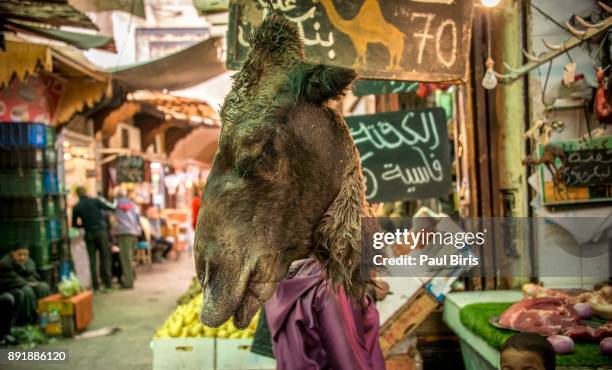 camel head in a butcher shop, medina, fez, morocco - camel meat stock pictures, royalty-free photos & images