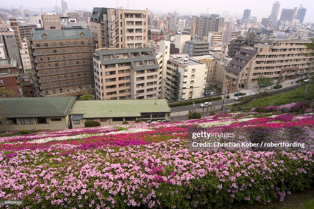 Flower bed, view of city, Kobe city, Kansai, Honshu island, Japan, Asia