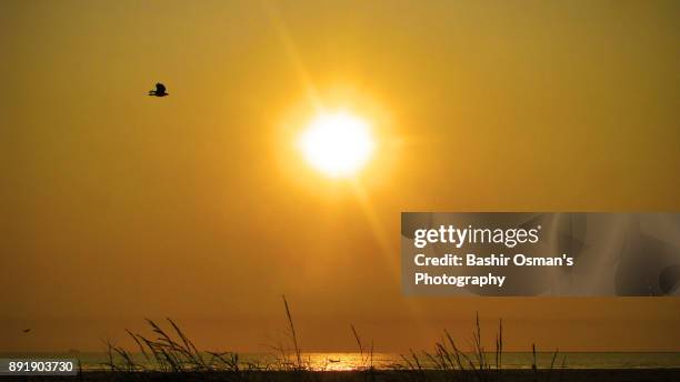 the dusky moments over the beach - unfaithful press night fotografías e imágenes de stock