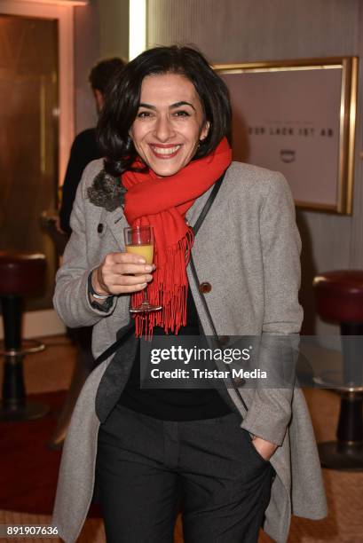 Ilknur Boyraz attends the photo call of the 'Der Lack ist ab' at Astor Film Lounge on December 13, 2017 in Berlin, Germany.