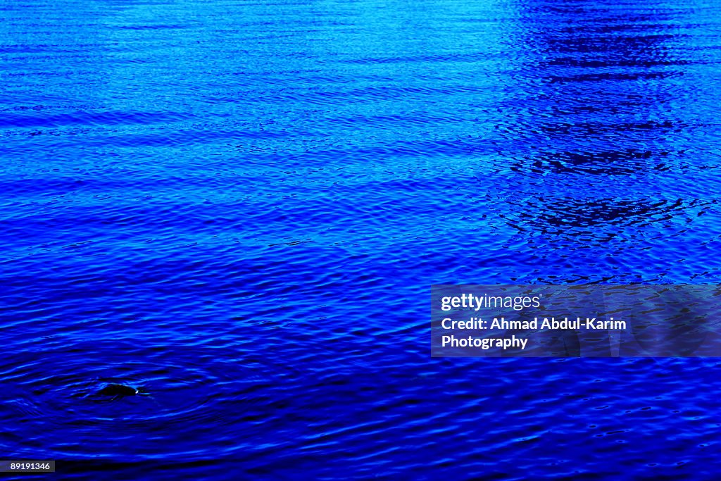 As Ripples Ripples High-Res Stock Photo - Getty Images