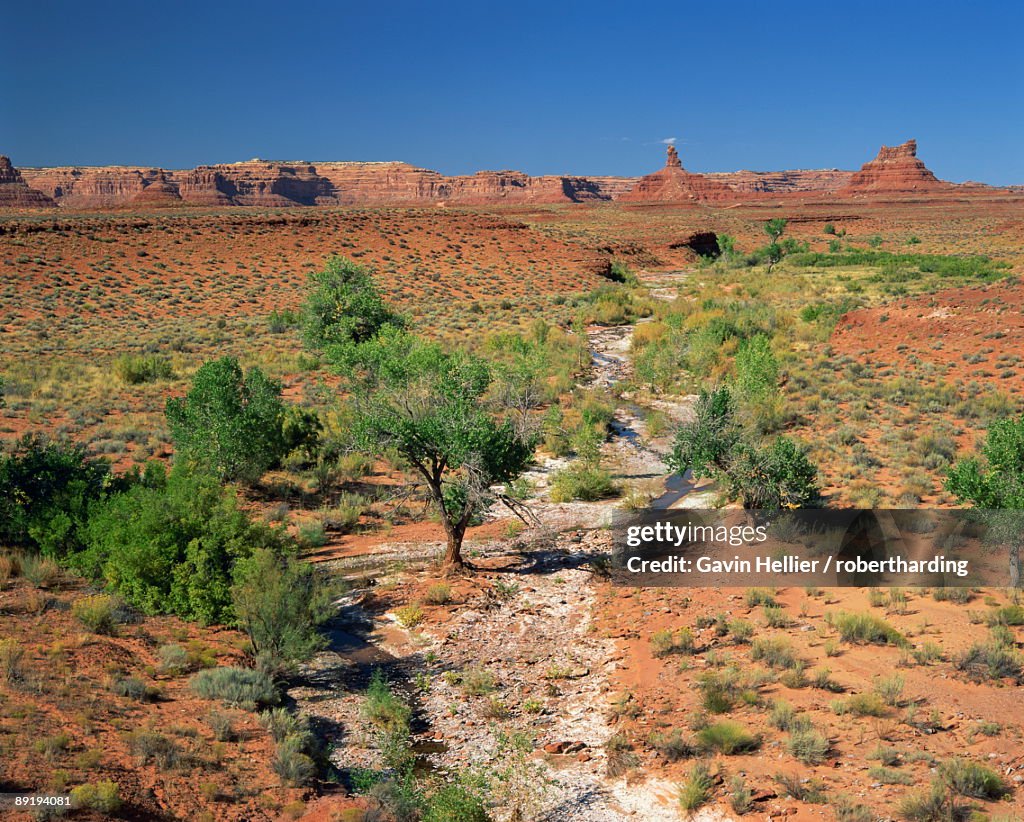 A line of green vegetation marks a dry river bed in the Valley of the Gods, with cliff formations in the background, in Utah, United States of America, North America