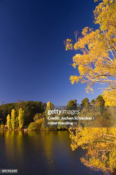 lake daylesford, daylesford, victoria, australia, pacific - daylesford fotografías e imágenes de stock