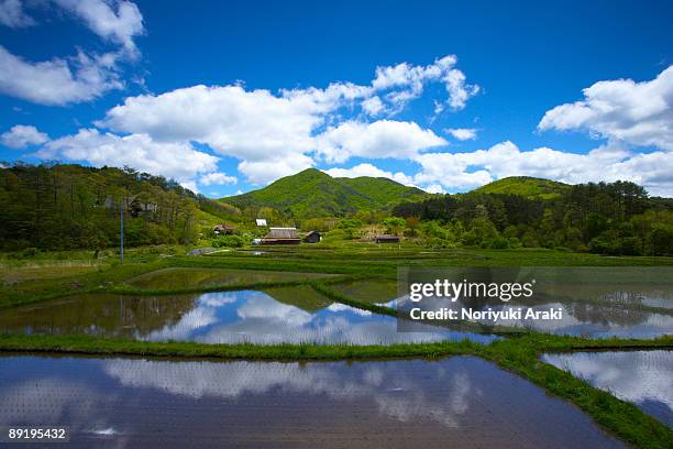 rice field and mountain - satoyama scenery stockfoto's en -beelden