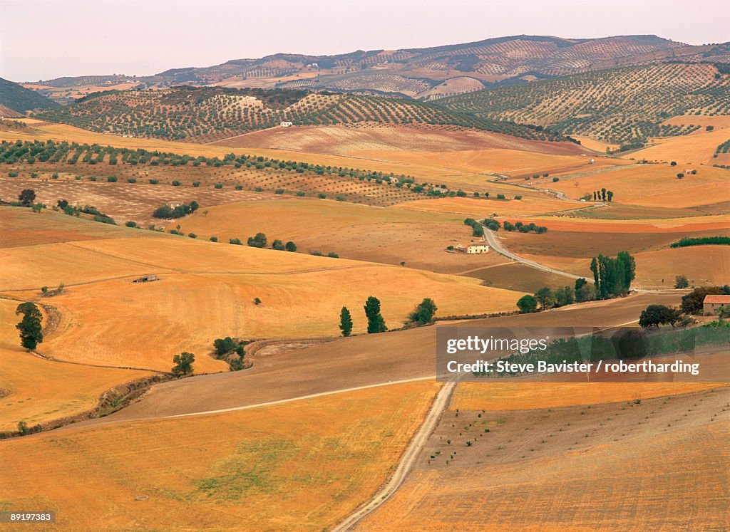 Agricultural landscape of fields, farms and olive trees in the background, in Andalucia, Spain, Europe