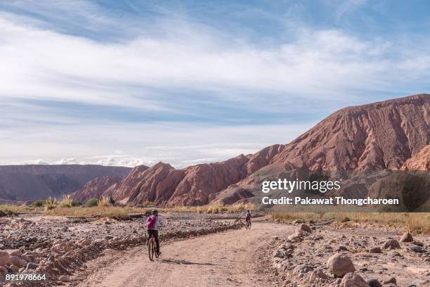 young ladies biking to quebrada del diablo, san pedro de atacama, chile - san pedro de atacama bildbanksfoton och bilder