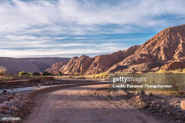 quebrada del diablo landscape, san pedro de atacama, chile - canyon foto e immagini stock