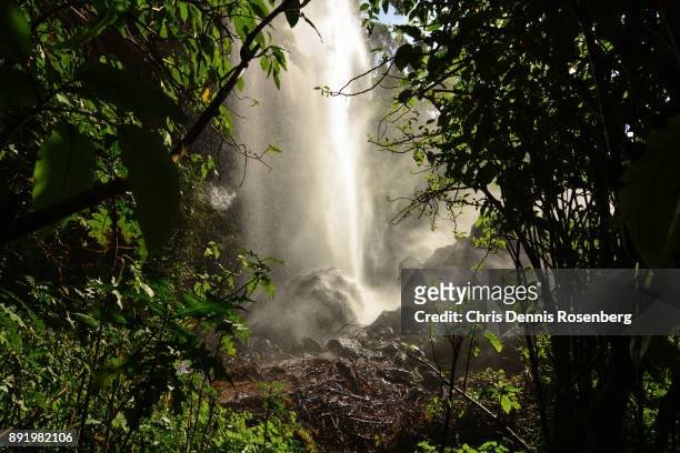 sipi falls. - falling water flowing water stock pictures, royalty-free photos & images
