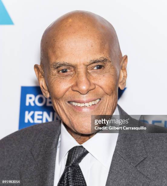 Harry Belafonte attends Robert F. Kennedy Human Rights Hosts Annual Ripple Of Hope Awards Dinner at New York Hilton on December 13, 2017 in New York...