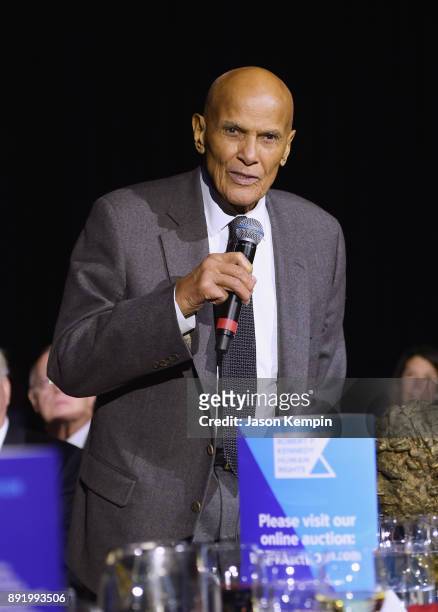 Honoree Harry Belafonte speaks during Robert F. Kennedy Human Rights Hosts Annual Ripple Of Hope Awards Dinner on December 13, 2017 in New York City.