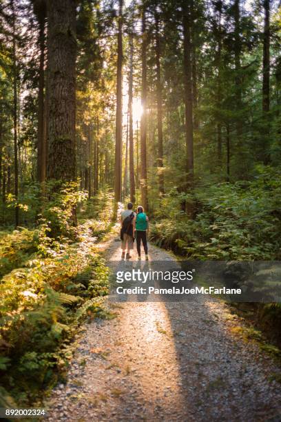 wandern, vater und tochter sonnenbeschienenen waldweg in kanada zu erkunden - canadian forest stock-fotos und bilder