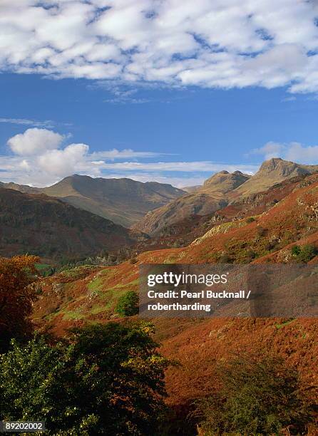 langdale valley and pikes with bowfell and crinkle crags beyond, elterwater, lake district national park, cumbria, england, united kingdom, europe - langdale pikes stock pictures, royalty-free photos & images