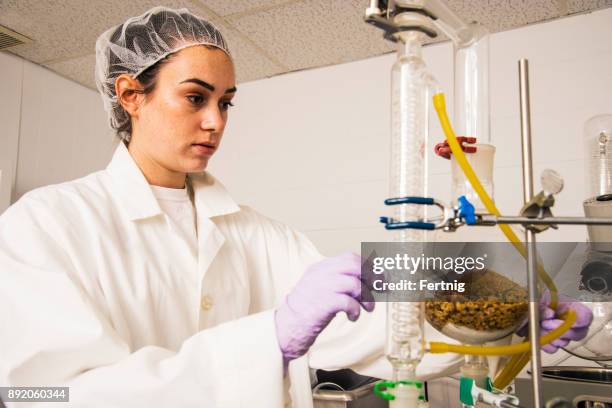 small businesswoman working in a plant-based natural cosmetics lab. - distillation lab stock pictures, royalty-free photos & images