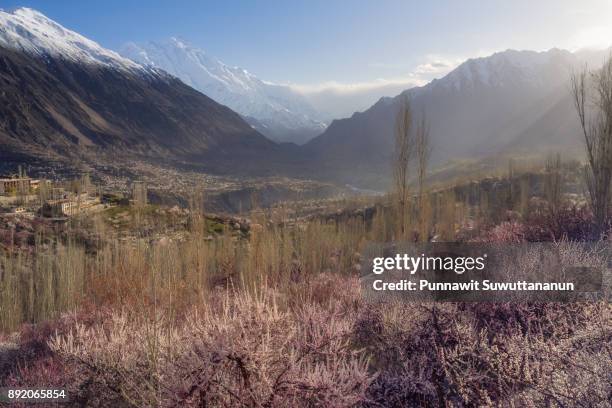 beautiful blossom in hunza valley with rakaposhi background, gilgit baltistan, pakistan - gilgit baltistan stockfoto's en -beelden