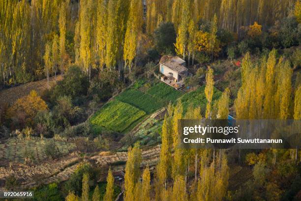 hunza valey in autumn, gilgit baltistan, pakistan - gilgit baltistan stockfoto's en -beelden