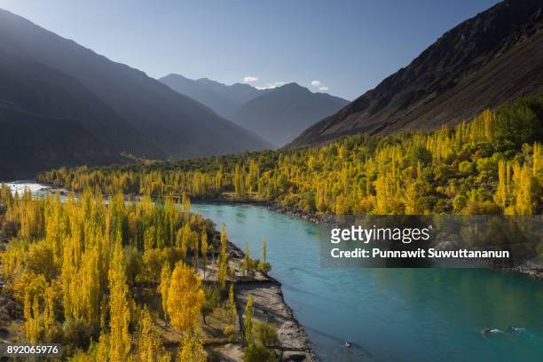 beautiful blue river and autumn tree in ghizer valley, gilgit baltistan, pakistan - baltistan bildbanksfoton och bilder