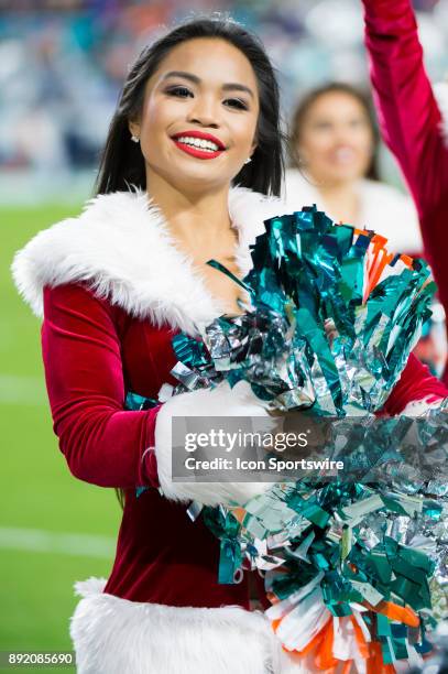 Miami Dolphins Cheerleader perform on the field during the NFL football game between the New England Patriots and the Miami Dolphins on December 11...