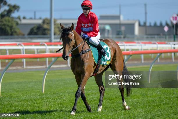 Christine Puls returns to the mounting yard on Jester Halo after winning the IGA Liquor Christmas Cheer! BM70 Handicap, at Geelong Racecourse on...