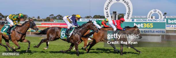 Jester Halo ridden by Christine Puls wins the IGA Liquor Christmas Cheer! BM70 Handicap at Geelong Racecourse on December 14, 2017 in Geelong,...