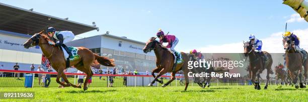 Young Hostess ridden by Fred Kersley wins the IGA Liquor BM64 Handicap at Geelong Racecourse on December 14, 2017 in Geelong, Australia.