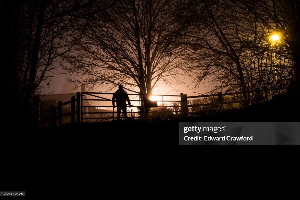 Winter silhouette